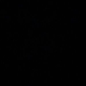 Meet your Posher, Abigail